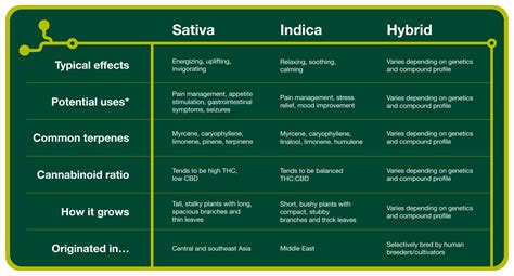 Indica Marijuana Strains 的图像结果