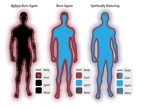 Spirit, Soul, and Body | Agathos