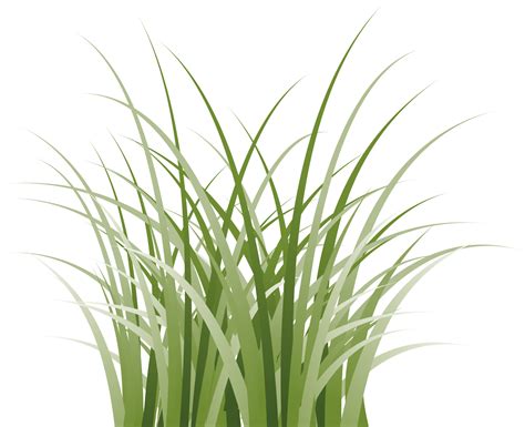 grass clipart transparent background 43217877 PNG