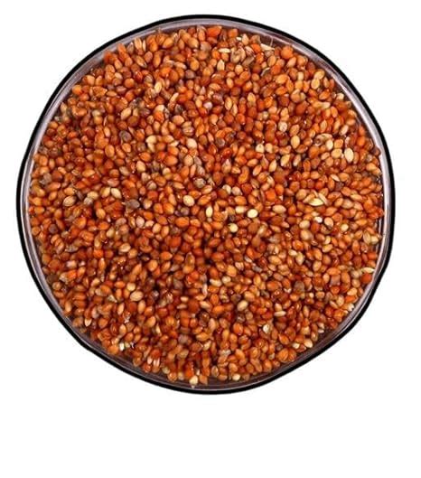 Buy Red millets for Small, Medium Size Birds for Cockatiel, Budgies ...