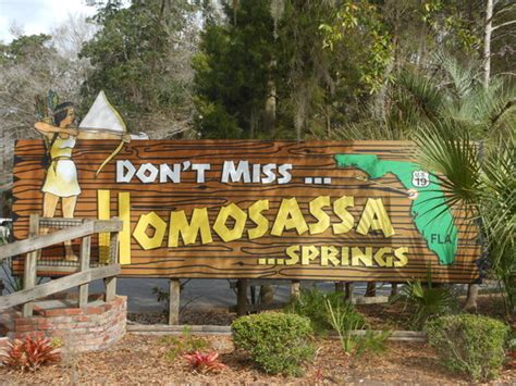 The amazing things - Reviews, Photos - Ellie Schiller Homosassa Springs ...