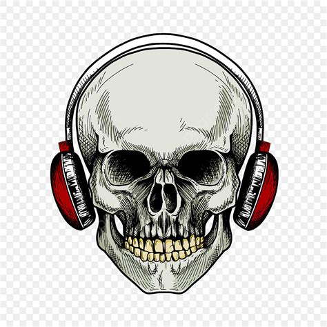 Hand Drawn Style Vector PNG Images, Stock Vector Hand Drawn Human Skull ...