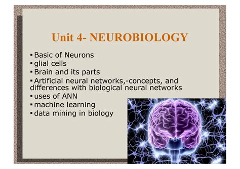 UNIT 4 CALUCLAS AND LINEAR aligbra - Unit 4- NEUROBIOLOGY Basic of ...