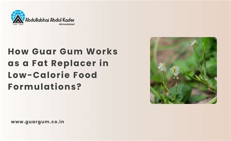 Guar Gum Fat Replacer: Master Low-Calorie Formulations