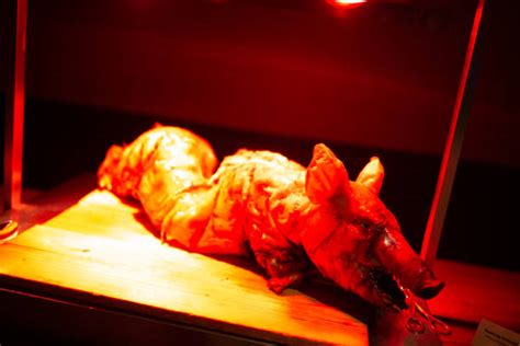 Image result for Hog Tying Tutorial