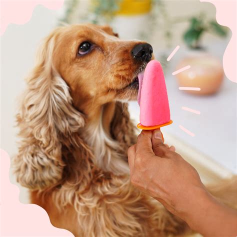 Strawberry Ice Cream for Cats & Dogs - Premix (Pet Nutritionist Approv ...