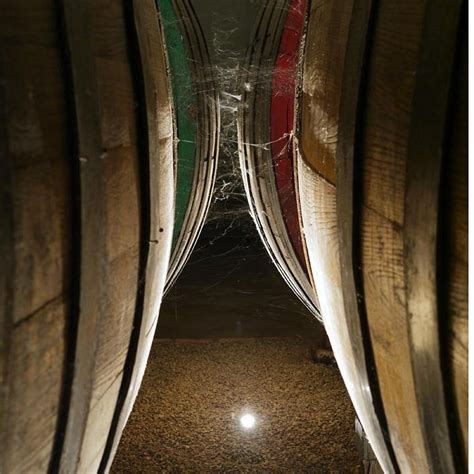THE WINE BUS Guide (2026) All You Need to Know BEFORE You Go (with Photos)
