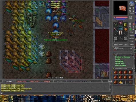 Image result for Tibia.com