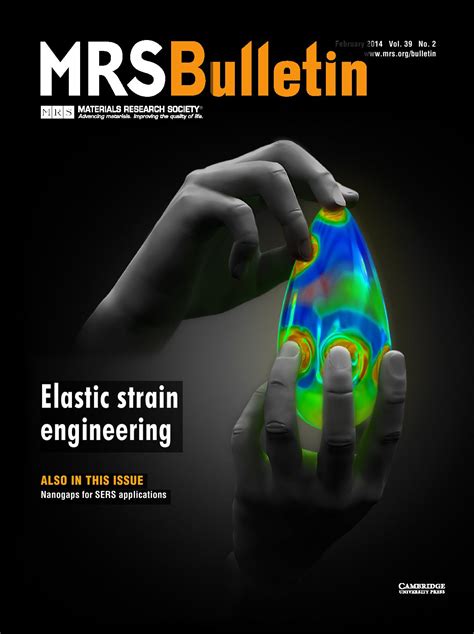 Elastic Strain 的图像结果