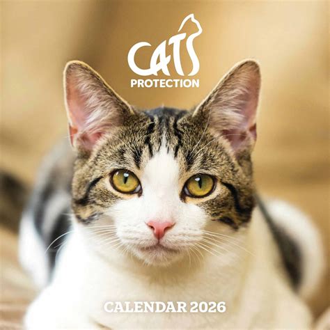 Cats Protection Calendar 2026