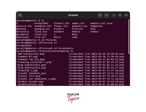 Image result for Linux Command Line Examples