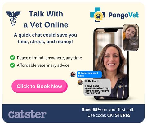 Can Cats Eat Cauliflower