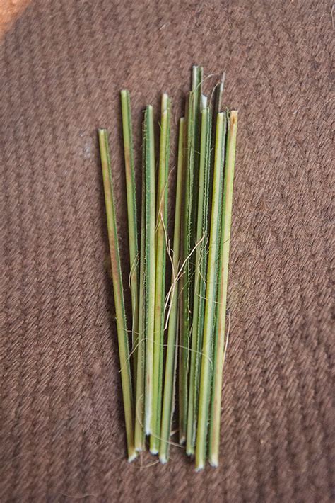 D'source Tools and Raw Materials | Coir Craft - Raghurajpur, Orissa | D ...