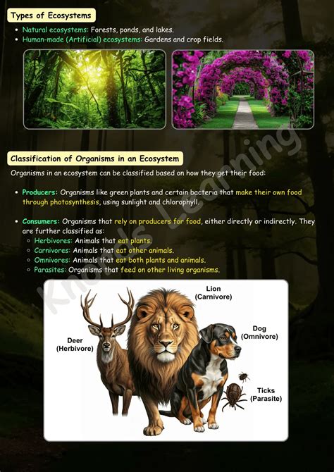 Environment 的图像结果