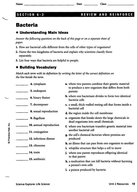 9Th Grade Science Worksheets | dev.onallcylinders.com