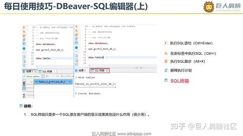 DBeaver SQL Tutorials 的图像结果