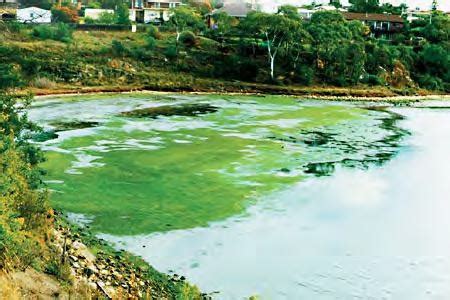 Environmental Issues and Pollution Control Flashcards | Quizlet