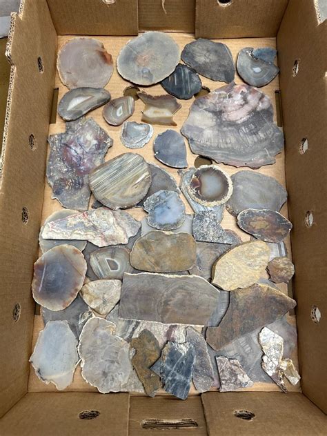 Lapidary Slabs 的图像结果