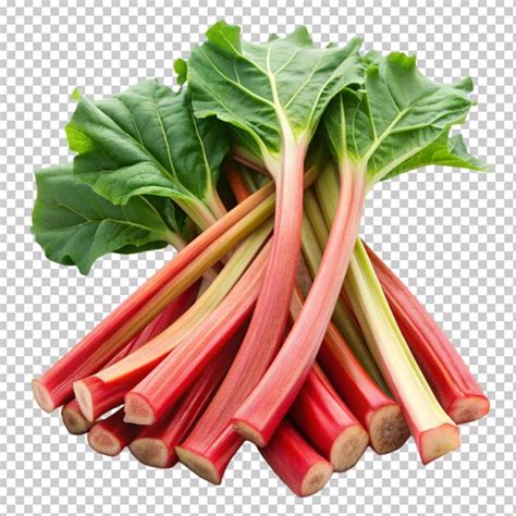 Rhubarb stalk isolated on transparent background | Premium AI-generated PSD