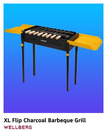 WELLBERG MULTI PORPOSE Barbeque & Angeethi : Amazon.in: Home & Kitchen