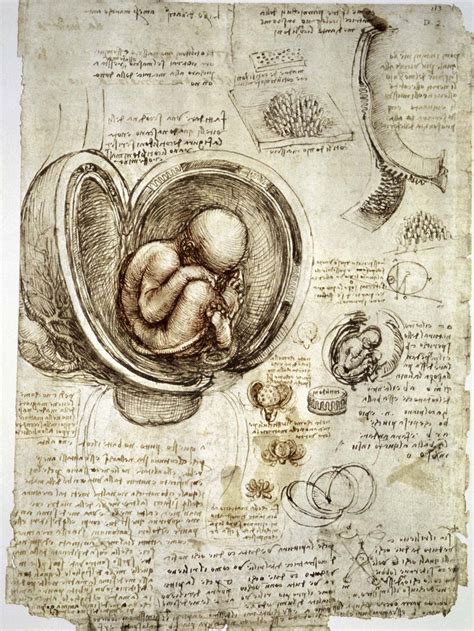 Leonardo Da Vinci First Drawing at Sandra Slavin blog