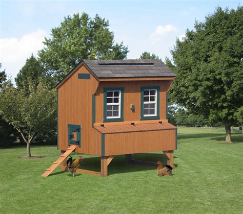 Best Chicken Coop For Backyard at Ashley Smalley blog