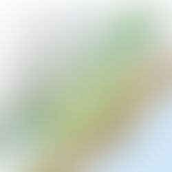 Sustainable Packaging Solutions | Bengaluru | Bambrew.in