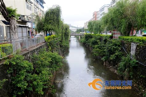 广东生态一线｜两座城市的茅洲河“治水记”_腾讯新闻