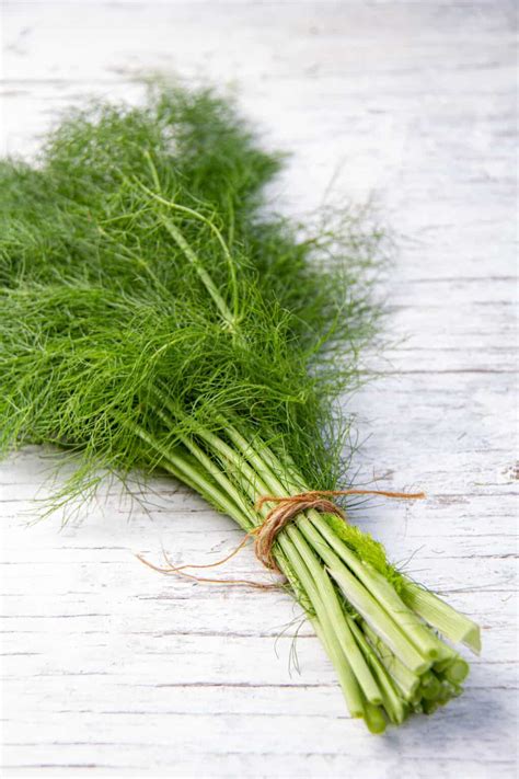 21 Best Dill Substitute Options That Work In A Pinch - Oh So Foodie