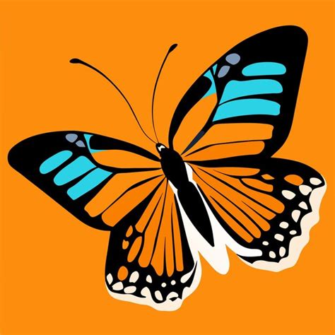 Image result for Magic Flying Butterfly Pattern