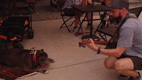 October Oak @ Volunteer Brewing: Music, Bingo, and Entertainment ...