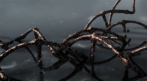 Image result for DNA Solves