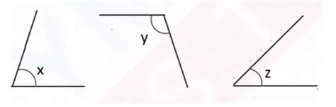 Class 3 IMO previous years Level 2 question papers - Set 8 – Olympiad ...