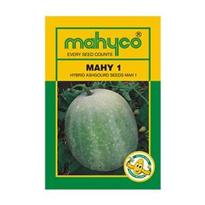 Buy Ash Gourd Seeds Online in India at Best Price from Trusted Brands ...