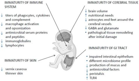 Diagnostics | Special Issue : Advances in Prenatal Diagnostics
