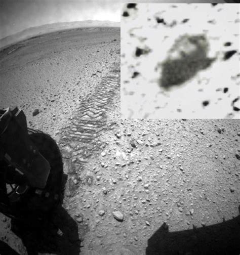 Photos From The Curiosity Rover Show Evidence Of Life On Mars Looks ...