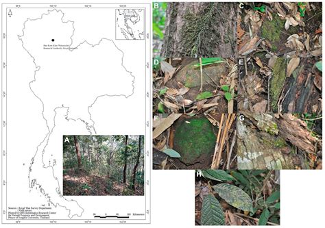Substrate Preference and Seasonal Distribution of Bdelloid Rotifers in ...