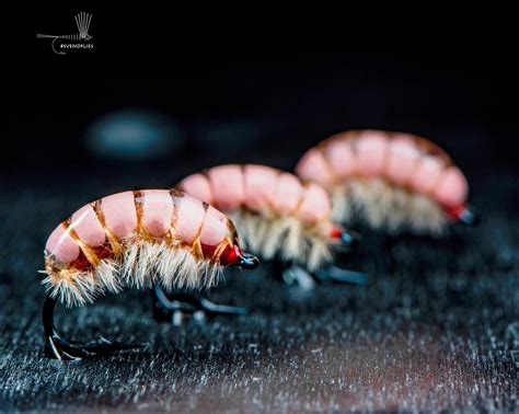 Image result for Sow Bug Fly Pattern