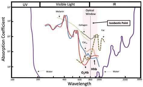 Age-Related Changes in Skeletal Muscle Oxygen Utilization