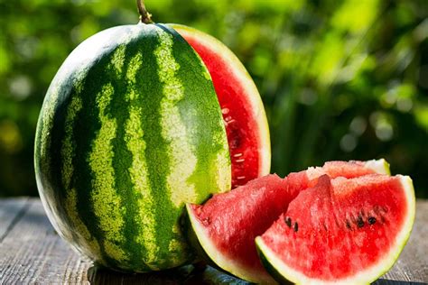 Watermelon Man Backing 的图像结果