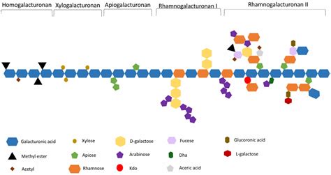 Pectin-Based Active and Smart Film Packaging: A Comprehensive Review of ...