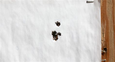 Rezultat imagine pentru Reloading Subsonic 308