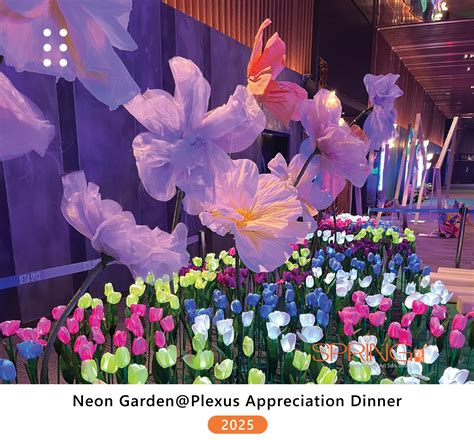 Spring Production 的图像结果