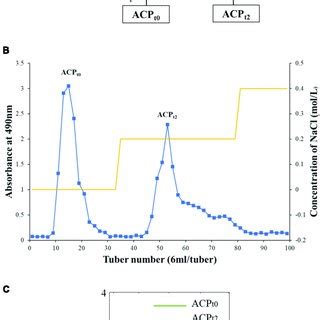 ACP Tutorial 的图像结果