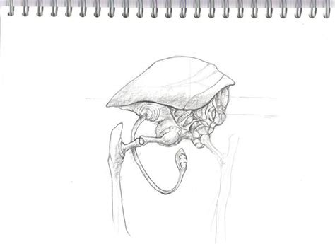 Image result for Alien Tripod Amazon