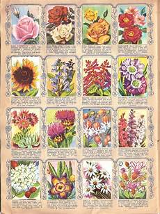 fiori di tutto il mondo fiori di tutto il mondo ed lo 1956 fiori di tutto il mondo fiori di tutto il mondo ed lo 1956