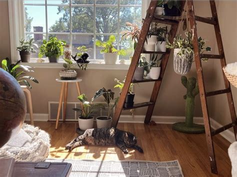 Ladder Use Instructions 的图像结果