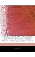 Articles on Carnivorous Plants of North America, Including: Habrotrocha ...