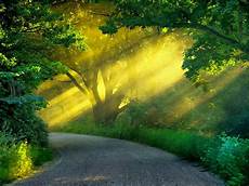 Hd Images by Stunning Hd Wallpapers Hd Background Hd Images