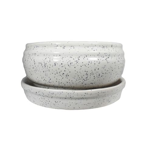 Lasaki Ceramic Bowl with Tray Plate Ceramic Pots for Indoor Plants ...